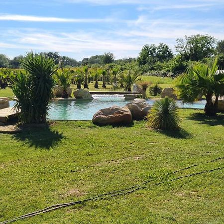 Le Mas Des Cerisiers Jacuzzi Et Sauna Inclus Pour Tous Les Logements Avignon Exteriör bild