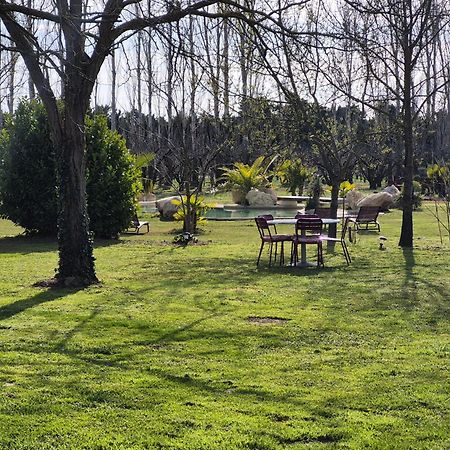 Le Mas Des Cerisiers Jacuzzi Et Sauna Inclus Pour Tous Les Logements Avignon Exteriör bild