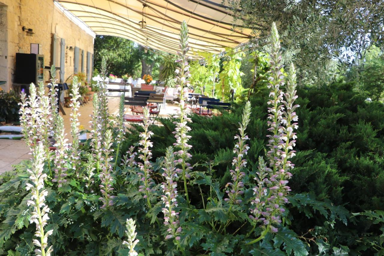 Le Mas Des Cerisiers Jacuzzi Et Sauna Inclus Pour Tous Les Logements Avignon Exteriör bild