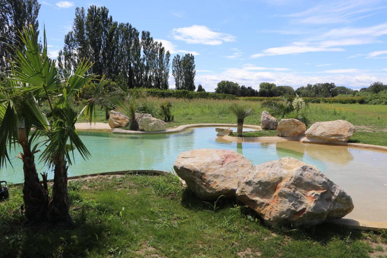 Le Mas Des Cerisiers Jacuzzi Et Sauna Inclus Pour Tous Les Logements Avignon Exteriör bild