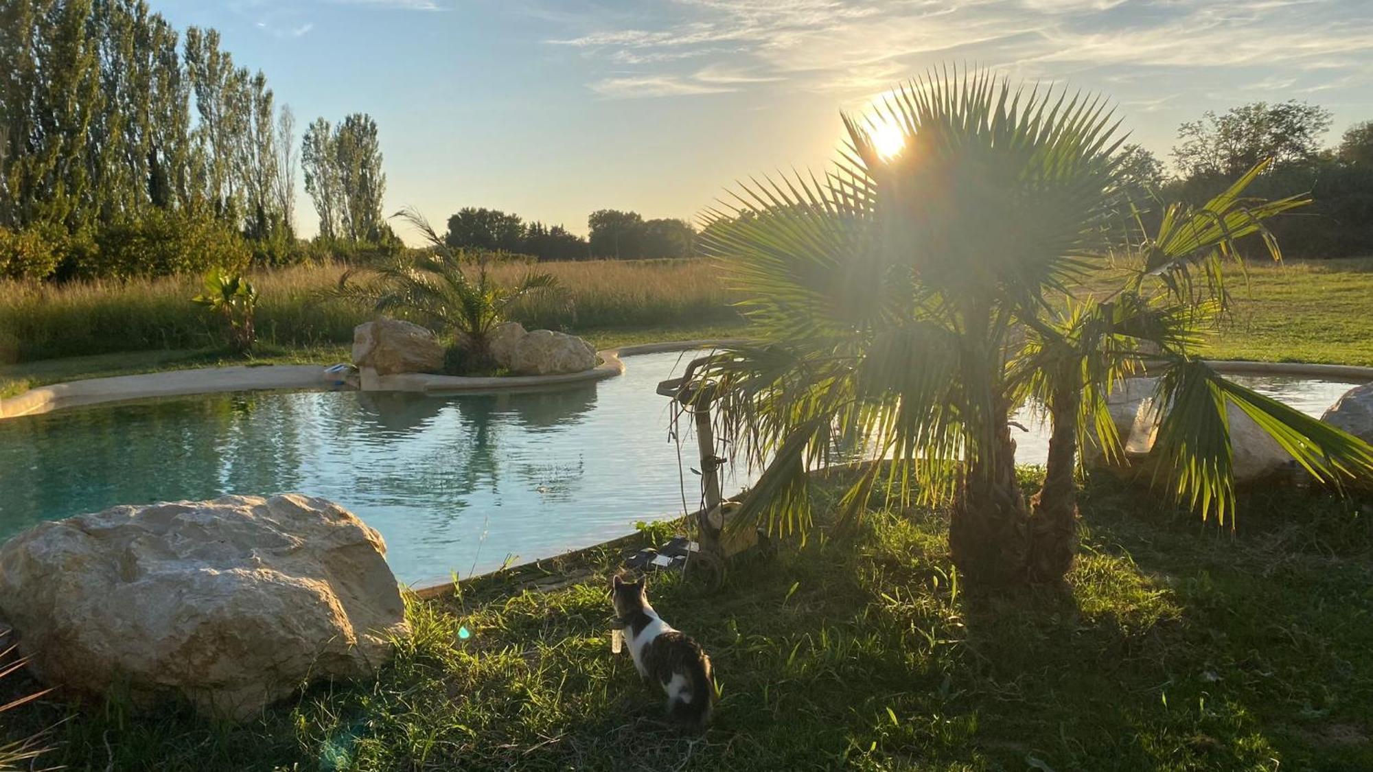 Le Mas Des Cerisiers Jacuzzi Et Sauna Inclus Pour Tous Les Logements Avignon Exteriör bild