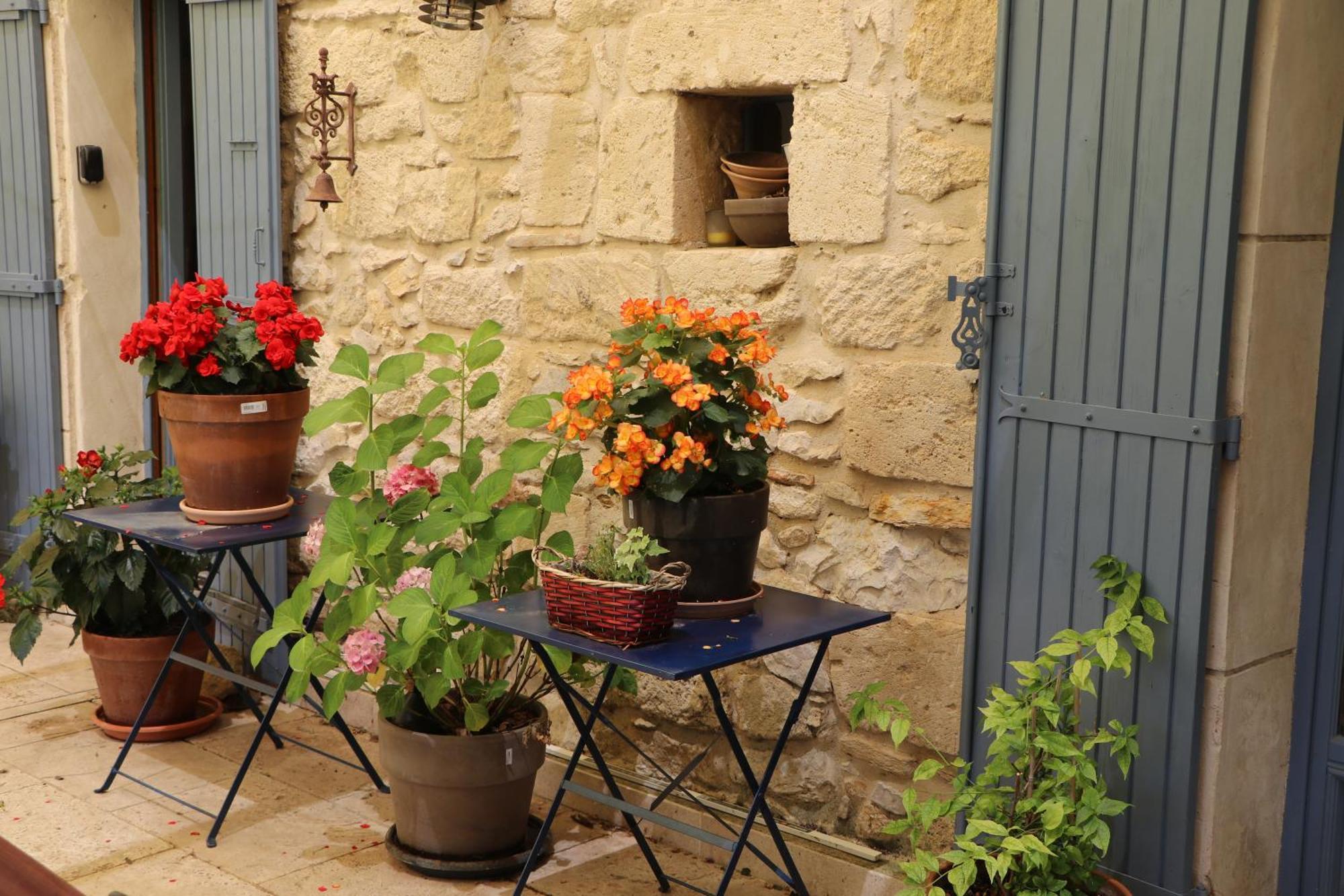Le Mas Des Cerisiers Jacuzzi Et Sauna Inclus Pour Tous Les Logements Avignon Exteriör bild