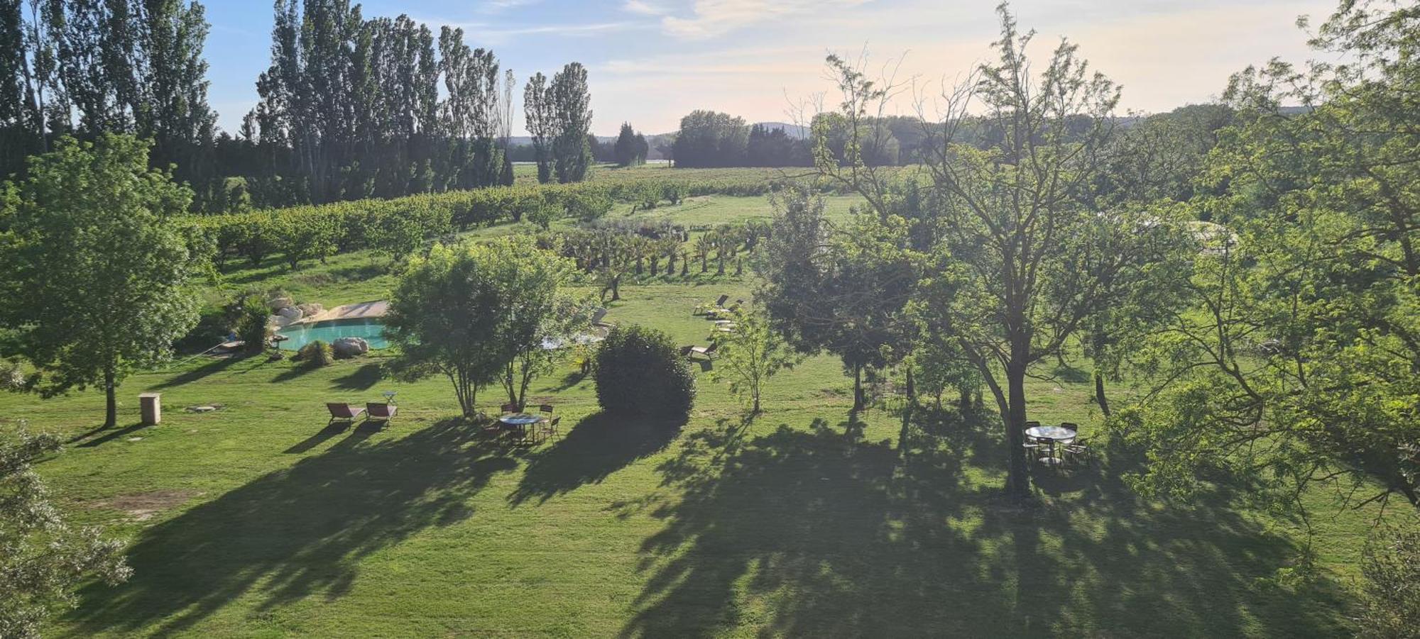 Le Mas Des Cerisiers Jacuzzi Et Sauna Inclus Pour Tous Les Logements Avignon Exteriör bild