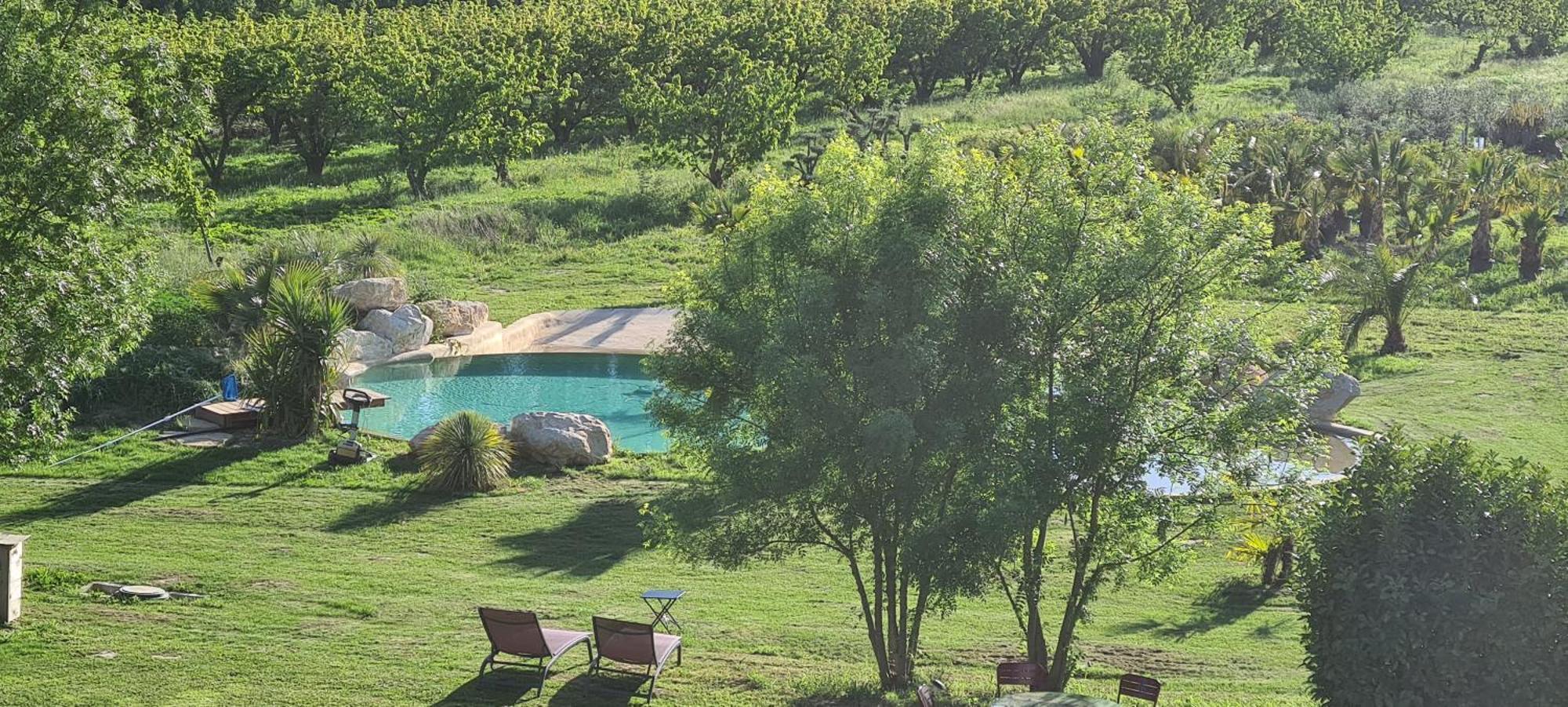Le Mas Des Cerisiers Jacuzzi Et Sauna Inclus Pour Tous Les Logements Avignon Exteriör bild