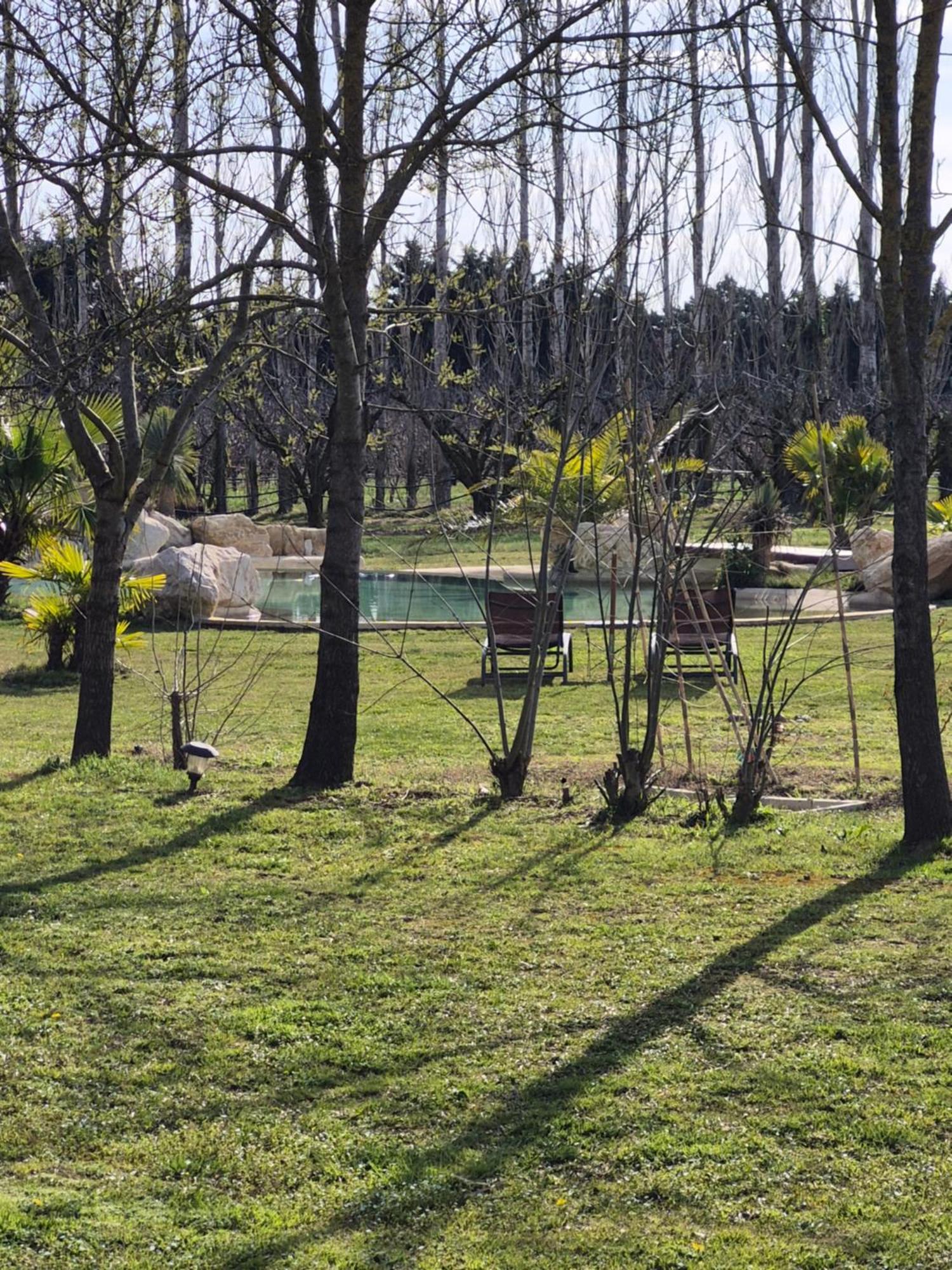 Le Mas Des Cerisiers Jacuzzi Et Sauna Inclus Pour Tous Les Logements Avignon Exteriör bild